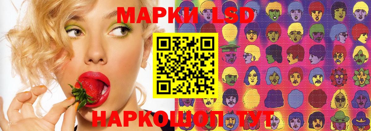 LSD-25 экстази  Вход с VPN  Камышин  LSD-25 экстази кислота  ЛСД экстази кислота 
