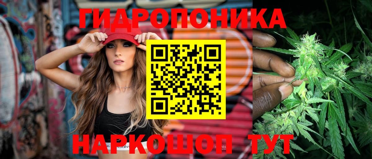 Бошки Шишки индика  Бошки марихуана планчик  Канабис Bruce Banner  Камышин  Вход с VPN 